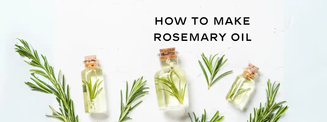 Bottles of rosemary oil with sprigs of fresh rosemary, featuring the text "How to Make Rosemary Oil," illustrating DIY skincare and wellness benefits.