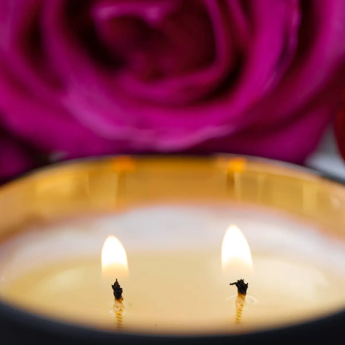 Cashmere Cocoa Candle with two wicks, surrounded by a pink rose, symbolizing relaxation and self-care, highlighting cruelty-free and vegan wellness attributes.
