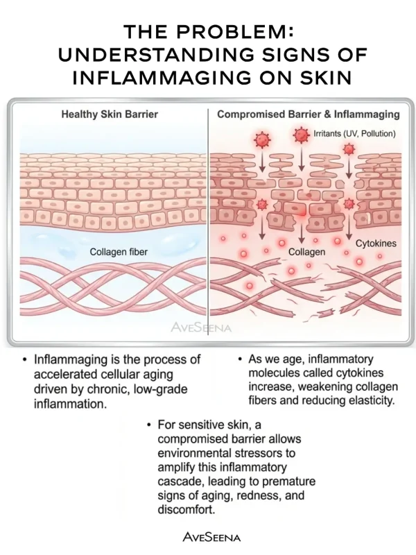 Skin barrier disruption and inflammaging