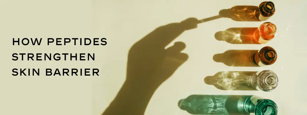peptides, skin barrier, collagen production, hydration, inflammation reduction