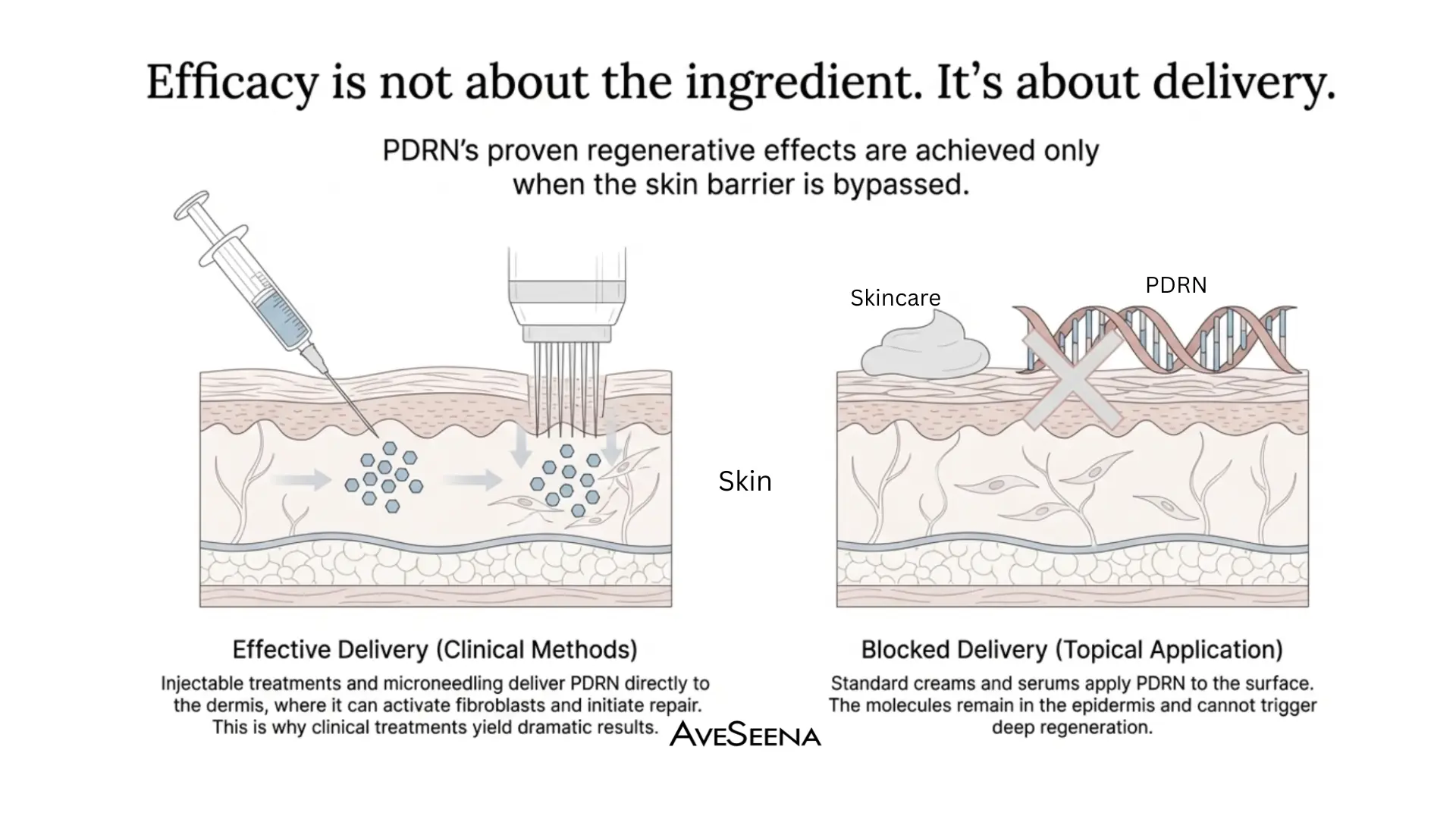 PDRN skincare molecular science