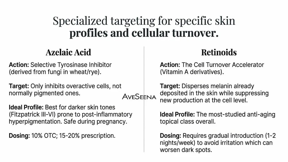 The Active Ingredient Master Matrix by AveSeena — comparing niacinamide, tranexamic acid, vitamin C, azelaic acid, and retinoids