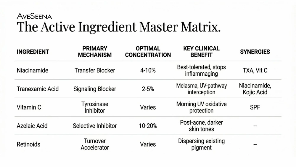 Comparison chart of azelaic acid and retinoids — ingredient actions, targets, ideal skin profiles, and dosing recommendations