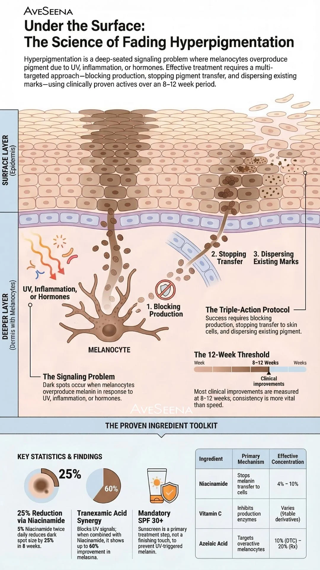 The science of fading the appearance of hyperpigmentation, by AveSeena