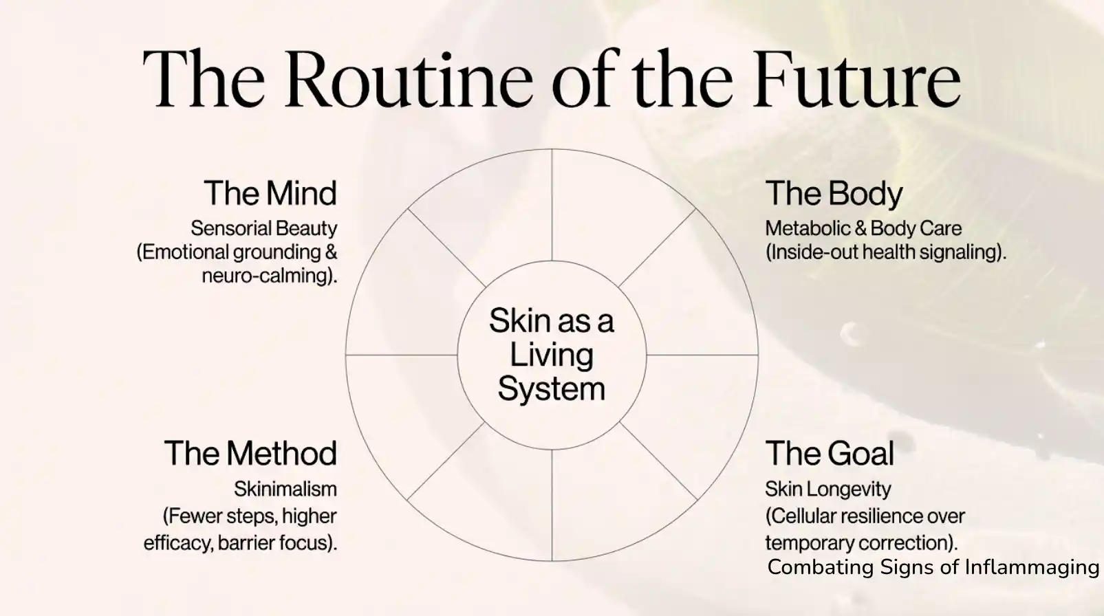 Routine of the Future: skin as a living system, four-part diagram