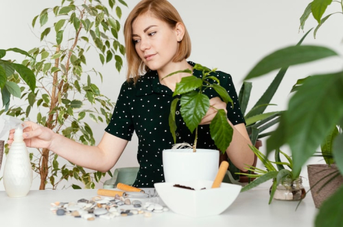Adaptogenic Botanicals in Skincare: Why They Matter