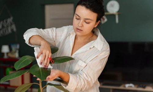 Science-Driven Botanical Skincare Explained